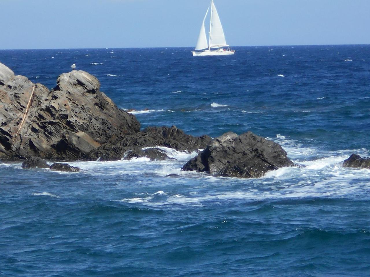 Le Case Punta Negra Stintino Ngoại thất bức ảnh